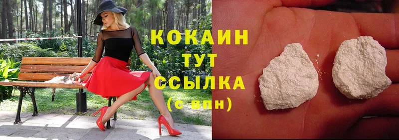 купить  цена  Дубна  МЕГА ССЫЛКА  Кокаин FishScale 